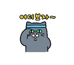 어디보자.JPG